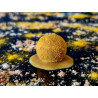 Blast Pearl Pack 18mm - Kit Bouillettes Complet Eschage et Amorçage
