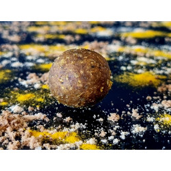 Blast Pearl - Bouillettes carpe haut rendement attractif